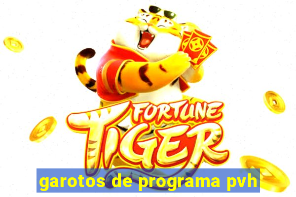 garotos de programa pvh